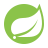 Spring logo
